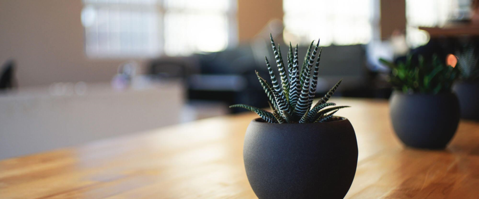 ケイビーディーのオフィシャルサイトです